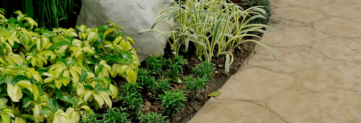 Garcia's Pavers
